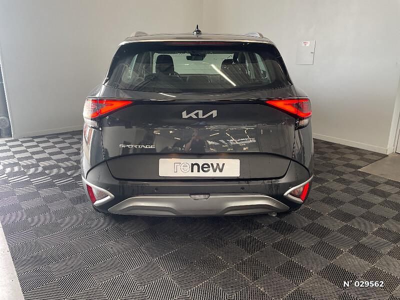Occasion Kia Sportage Active 2023 Gris SUV
