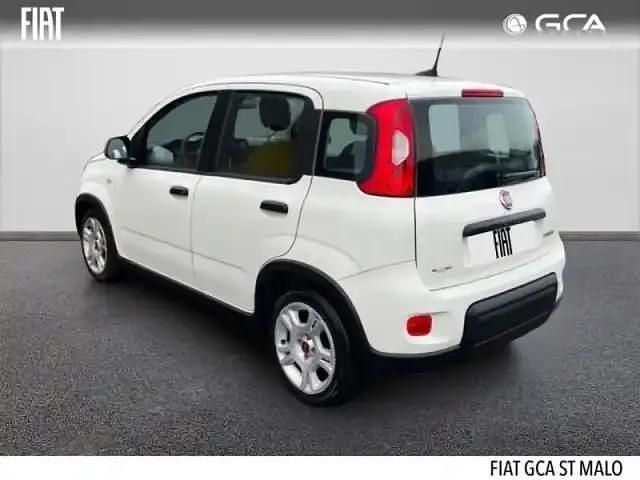 Occasion Fiat Panda S 2023 Blanc Citadine