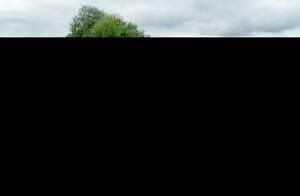 Rouge Occasion 1966 Ford Mustang Cabriolet | 44 900 € - Image 1/4