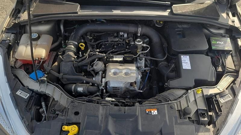 Image 3/3