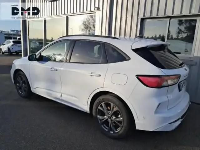 Occasion Ford Kuga ST-Line X 2023 Blanc glacier SUV