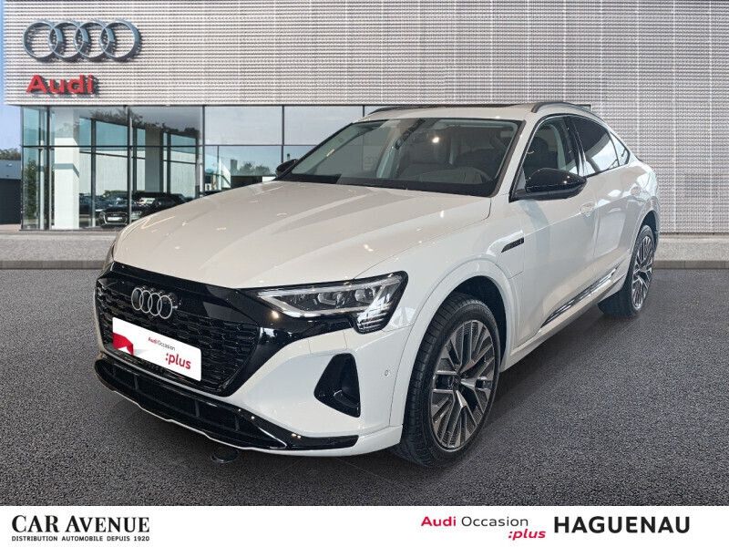 Blanc glacier métallisée Nouvelle 2024 Audi Q8 e-tron Sport SUV | 76 990 € - Image 1/1