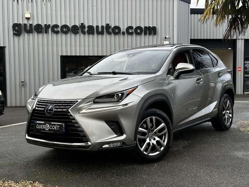 Occasion Lexus NX300h 158 ch (116 kW) 2020 Gris SUV