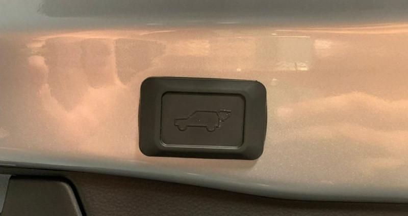 Occasion Toyota RAV4 Hybrid Business Edition 178 ch (130 kW) 2022 SUV