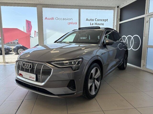Gris taifun métallisé Utilisé 2019 Audi e-tron Advanced Plus SUV | 30 990 € - Image 1/4