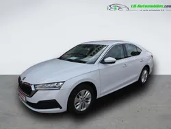 Utilisé 2023 Skoda Octavia Berline | 25 700 € (Bon prix)