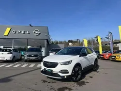 Toit+rétros ext noir/blanc jade Utilisé 2021 Opel Grandland X Ultimate SUV | 16 899 € (Bon prix)