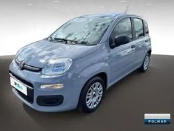 Gris argento métallisé Utilisé 2022 Fiat Panda S Berline | 10 980 €