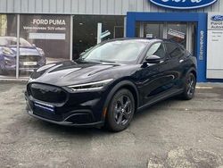 Noir Utilisé 2021 Ford Mustang Mach-E Standard Range SUV | 24 990 € (Bon prix)