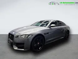 Utilisé 2019 Jaguar XF Berline | 31 500 €