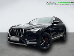 Utilisé 2023 Jaguar F-Pace SUV | 55 800 € (Super prix)