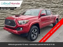 Rouge Utilisé 2019 Toyota Tacoma SR5 Pick-up | 44 413 €