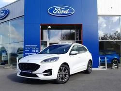 Blanc glacier Occasion 2024 Ford Kuga ST-Line SUV | 29 989 € (Prix juste)