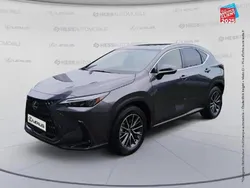 Gris Utilisé 2023 Lexus NX450h+ SUV | 51 999 € (Bon prix)