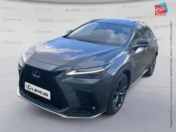 Gris Utilisé 2025 Lexus NX450h+ Executive Line SUV | 71 999 €