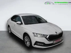 Utilisé 2023 Skoda Octavia Berline | 27 500 € (Prix juste)