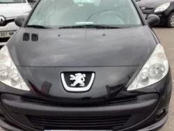Utilisé 2012 Peugeot 206 Basis Citadine | 5 600 € (Prix assez cher)