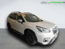 Utilisé 2020 Subaru Forester SUV | 30 200 € (Prix cher)