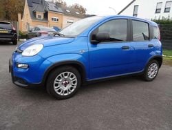 Bleu Occasion 2023 Fiat Panda Citadine | 11 900 € (Super prix)