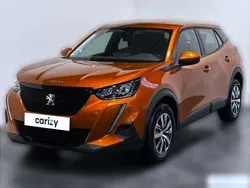Marron Utilisé 2020 Peugeot 2008 Active SUV | 16 490 € (Prix assez cher)
