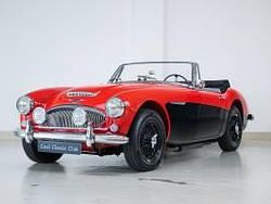 Autres Occasion 1964 Austin Healey 3000 MK III Cabriolet | 65 000 €