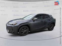 Gris Utilisé 2025 Lexus UX 300h SUV | 41 799 € (Super prix)