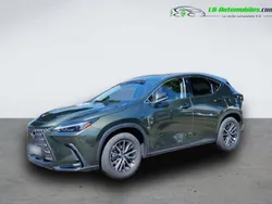 Utilisé 2024 Lexus NX350h | 62 000 €
