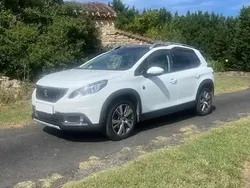 Blanc Utilisé 2019 Peugeot 2008 Business-Line SUV | 12 680 € (Bon prix)