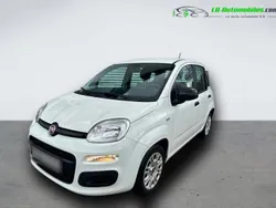 Utilisé 2021 Fiat Panda Citadine | 12 900 € (Prix cher)