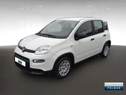 Blanc Nouvelle 2024 Fiat Panda Classica Citadine | 14 990 € (Prix juste)