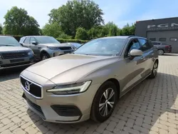 Beige Utilisé 2019 Volvo V60 Momentum Break | 13 900 € (Bon prix)