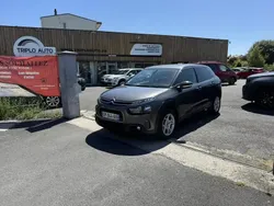 Gris Utilisé 2019 Citroën C4 Cactus Origins Citadine | 13 990 € (Prix juste)