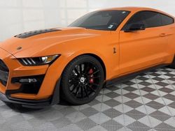 Orange Occasion 2020 Ford Mustang Coupé | 105 957 € (Prix juste)