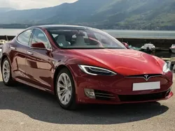 Rouge Utilisé 2019 Tesla Model S Performance Berline | 67 000 €