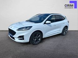 Blanc Utilisé 2023 Ford Kuga ST-Line X SUV | 30 370 € (Prix juste)