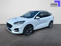 Blanc Utilisé 2023 Ford Kuga ST-Line X SUV | 31 860 € (Prix assez cher)