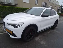 Blanc Utilisé 2019 Alfa Romeo Stelvio Lusso SUV | 19 900 €