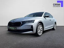 Gris Utilisé 2024 Skoda Octavia Berline | 29 490 € (Bon prix)