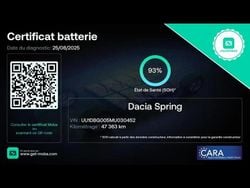 Utilisé 2022 Dacia Spring Comfort Plus Citadine | 7 799 € (Bon prix)