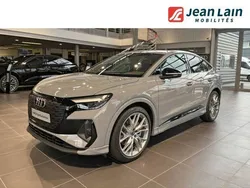 Gris Utilisé 2023 Audi Q4 e-tron S-Line SUV | 49 900 € (Prix assez cher)