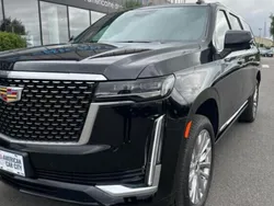 Noir Utilisé 2023 Cadillac Escalade SUV | 175 900 € (Prix juste)