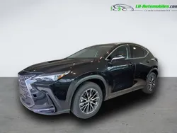 Utilisé 2025 Lexus NX350h | 66 500 €