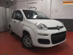 Blanc Utilisé 2016 Fiat Panda Citadine | 6 490 €