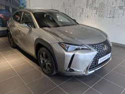Gris Utilisé 2024 Lexus UX 300h SUV | 36 900 €