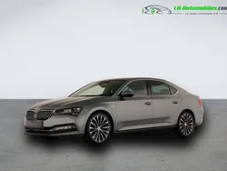 Utilisé 2019 Skoda Superb Berline | 31 100 € (Bon prix)