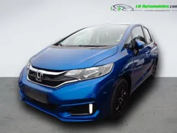 Utilisé 2016 Honda Jazz Citadine | 16 900 € (Prix assez cher)