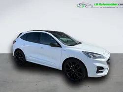 Utilisé 2020 Ford Kuga SUV | 28 100 € (Prix cher)