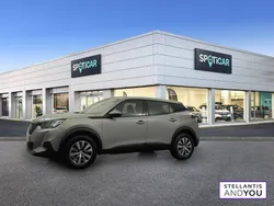 Gris Utilisé 2021 Peugeot 2008 Active SUV | 14 590 € (Bon prix)
