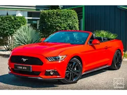 Rouge Utilisé 2016 Ford Mustang Fastback Cabriolet | 34 990 € (Super prix)