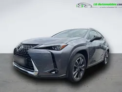 Utilisé 2021 Lexus UX 250h SUV | 35 500 € (Prix cher)